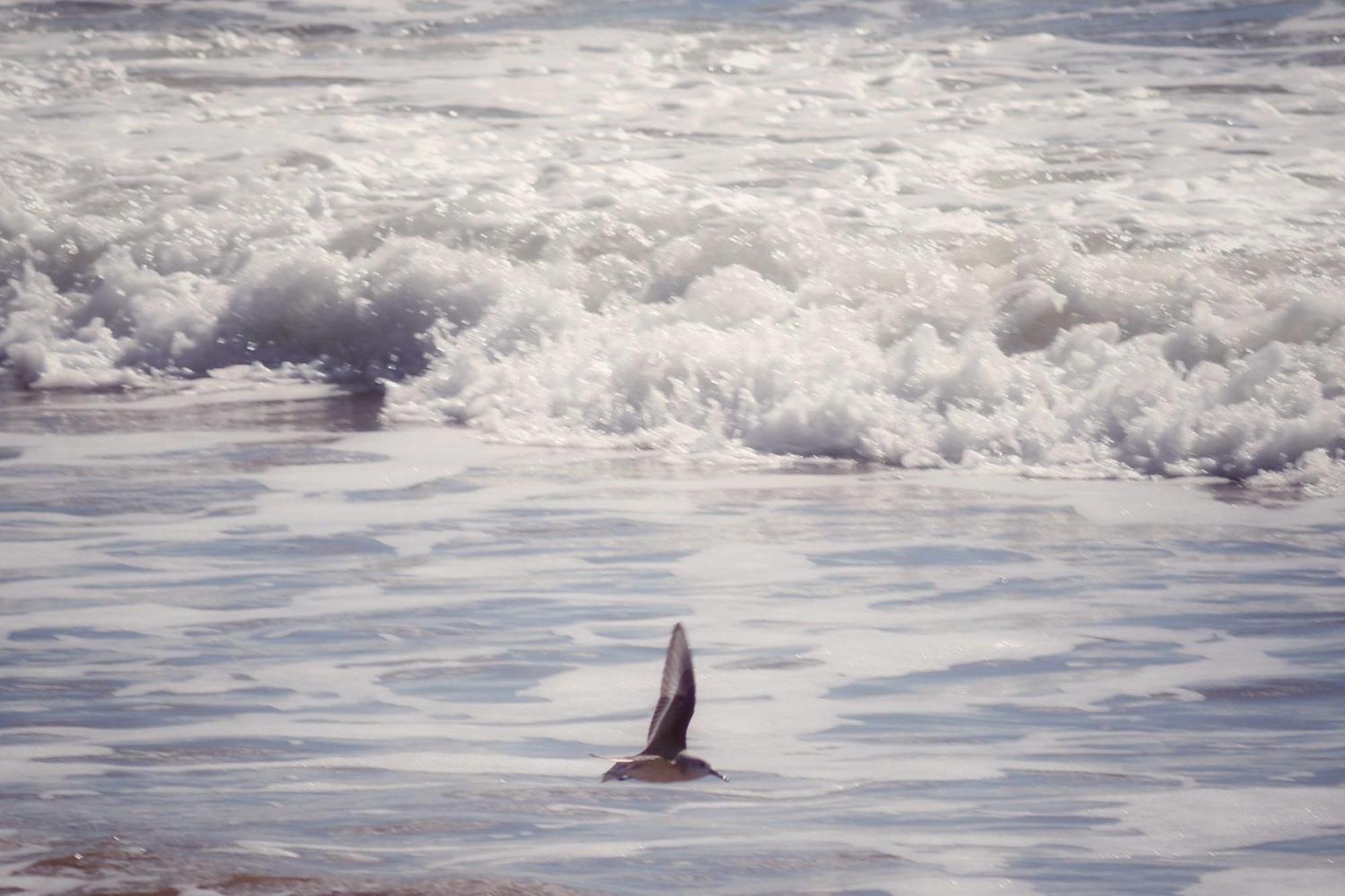 La Dune, Proche Rue Pietonne Et Plage แซ็งต์-ฌอง-เดอ-มองต์ ภายนอก รูปภาพ
